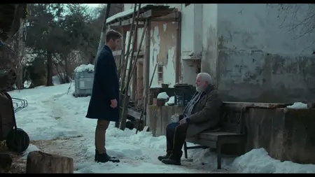 Calm in the Canopy (2024)