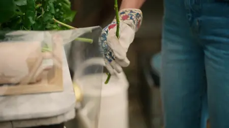 With Love, Meghan S01E05