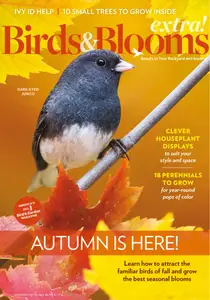 Birds and Blooms Extra - November 2024