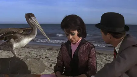 How to Stuff a Wild Bikini (1965)
