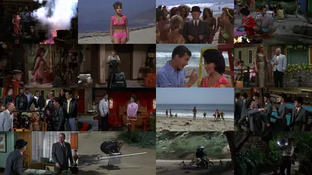 How to Stuff a Wild Bikini (1965)