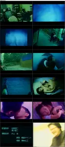 Turtle Vision (1991)
