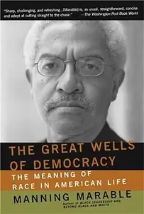 The Great Wells Of Democracy: The Meaning Of Race In American Life