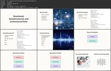 Big Data in the Age of AI [Released: 1/13/2025]