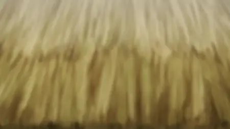 Spice and Wolf Merchant Meets The Wise Wolf S01E01 The Harvest Festival and The Crowded Drivers Box