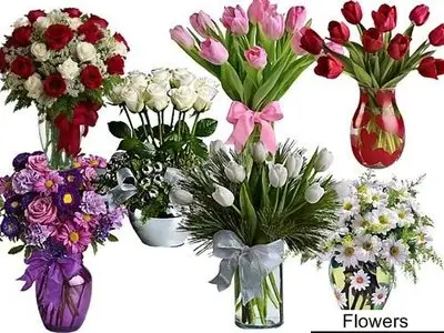 Flowers