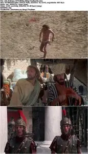 Life Of Brian (1979)