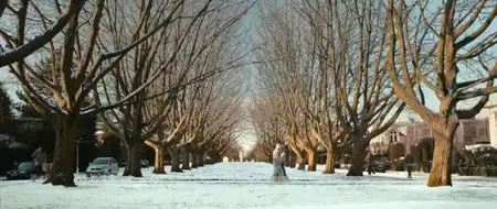 Sint (2010)