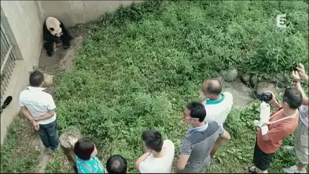 (Fr5) La vallée des pandas (2015)