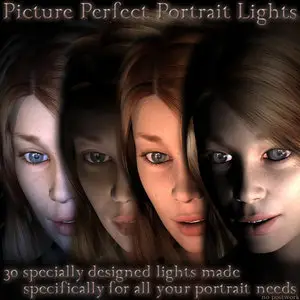 Picture Perfect Portrait Lights