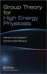 Group Theory for High Energy Physicists