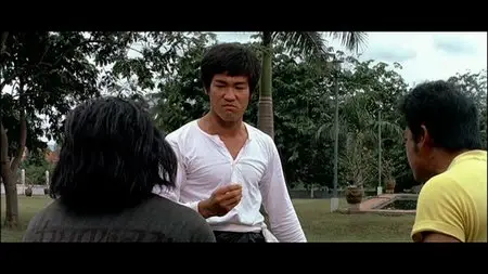 Bruce Lee Ultimate Fully Re-Mastered DVD Collection (1971-1981)