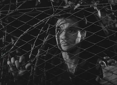 Ai margini della metropoli (1953)