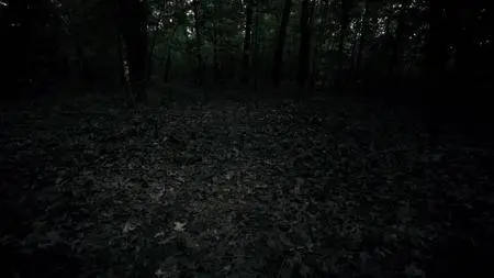 Boggy Creek Monster (2016)