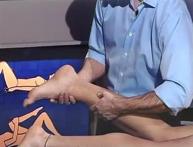 Comprehensive Manual Therapy for the Lower Extremity on DVD, 2009