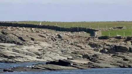 Wild Britain S01E06