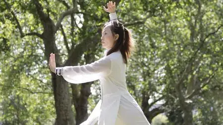 Tai Chi Qigong Shibashi Set 7 (Tutorial and follow along)