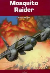 Kagero Kroniki Wojenne 3: Mosquito Raider