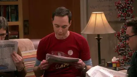 The Big Bang Theory S01E13