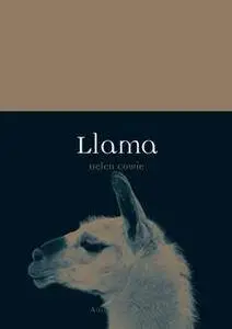 Llama (Animal)