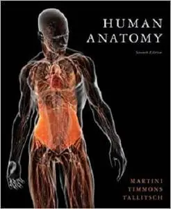 Human Anatomy [Repost]