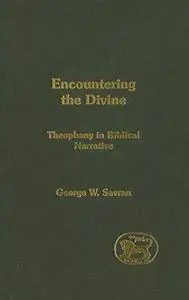 Encountering the Divine: Theophany in Biblical Narrative (Journal for the Study of the Old Testament Supplem)