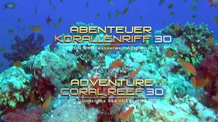 Adventure Coral Reef Under The Sea Of Egypt (2012)