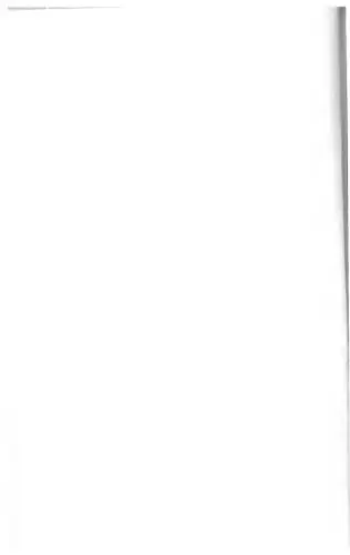 Die fremde Reformation: Luthers mystische Wurzeln