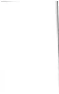 Die fremde Reformation: Luthers mystische Wurzeln