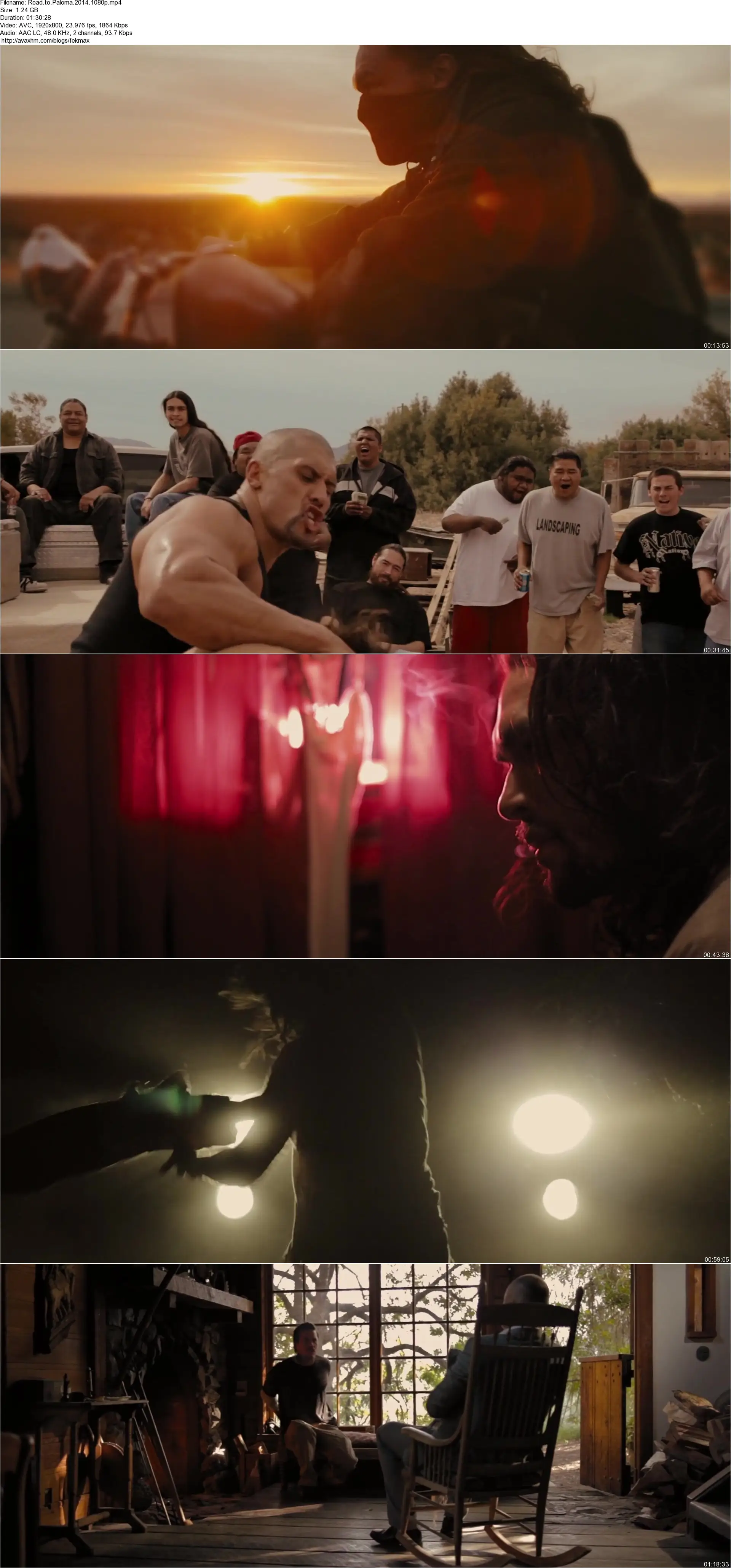 Road to Paloma (2014)