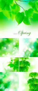 Stock Photo - Spring Green Backgrounds