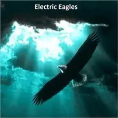 «Electric Eagle's» by None