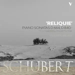 Giuseppe Bruno - Schubert: Piano Sonata No. 13, D. 664 & No. 15, D. 840 "Reliquie" (2019) [Official Digital Download 24/88]