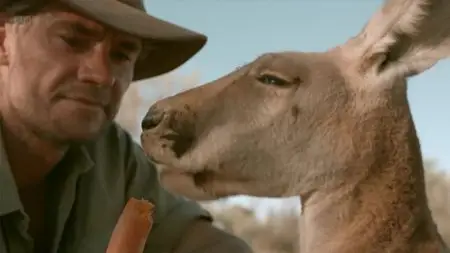 BBC Natural World - Kangaroo Dundee (2013)