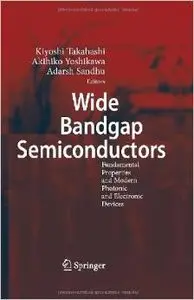Wide Bandgap Semiconductors: Fundamental Properties and Modern Photonic and Electronic Devices by Kiyoshi Takahashi