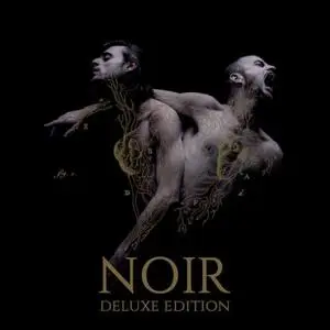 Heymoonshaker - Noir (Deluxe Edition) (2016) [Official Digital Download 24/96]