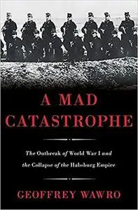 A Mad Catastrophe: The Outbreak of World War I and the Collapse of the Habsburg Empire