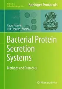 Bacterial Protein Secretion Systems: Methods and Protocols (Methods in Molecular Biology)