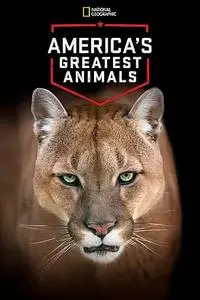 America's Greatest Animals (2012)