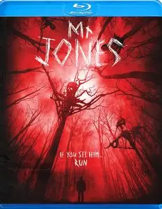Mr. Jones (2013)