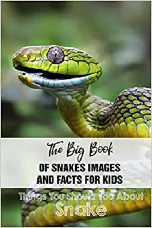 The Big Book Of Snakes Images And Facts For Kids Things You Should You About Snakes: Snakes Book For Kids