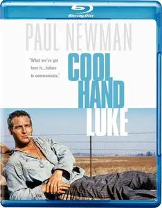 Cool Hand Luke (1967)