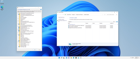 Windows 11, Version 21H2 Build 22000.795 Business & Consumer Editions