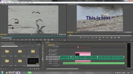 Adobe After Effects CS5 with Andrew Devis (2012)