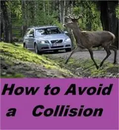 «How to Avoid a Collision» by Auto Safty eBooks