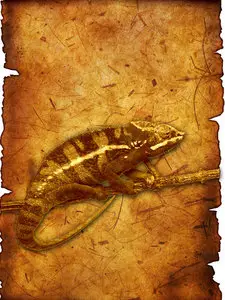 Chameleon