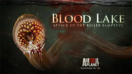 Discovery Channel - Blood Lake: Attack of the Killer Lampreys (2014)