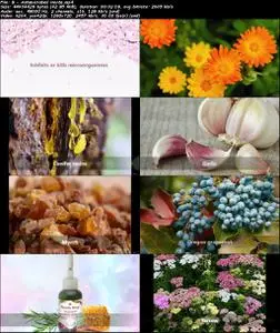 Certificate In Herbal First Aid & DIY Herbal First Aid Kit
