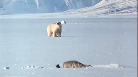 Polar Bears: A Summer Odyssey (2012)