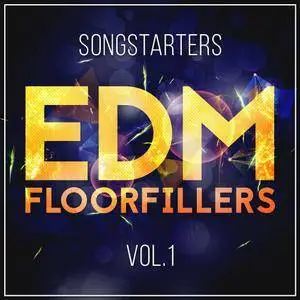 Mainroom Warehouse EDM Floorfillers Songstarters Vol 1 WAV MiDi